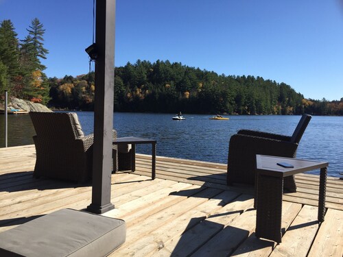 Dorset Wren lake Turtle Cove
Four acres in the heart of Muskoka