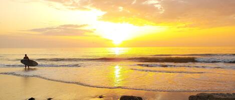 Plage à proximité, chaises longues, serviettes de plage