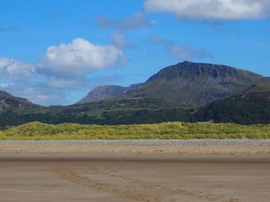 Uma praia com uma montanha ao fundo.
