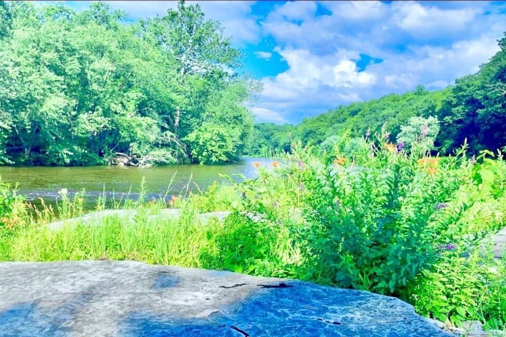 ★Scenic Views & River Access, Cozy River Home ★