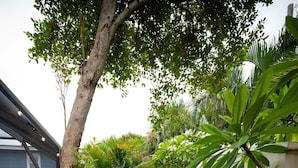 Un sentier de jardin bordé de pierres plates servant de marchepied, entouré de différentes plantes et arbres.