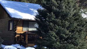 Une cabane en bois, dont le toit est recouvert de neige, entourée d’arbres à feuilles persistantes.