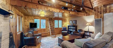 TV, DVD player, video library