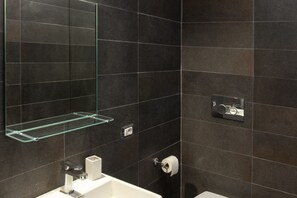 Shower, hair dryer, bidet, towels