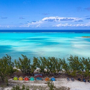Magical Bambarra Beach!  