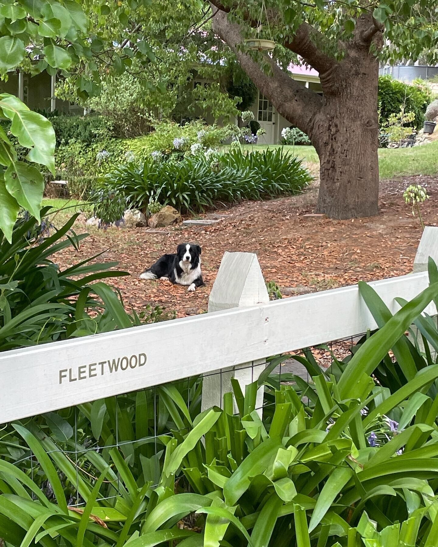 Fleetwood Cottage Suite — image 27