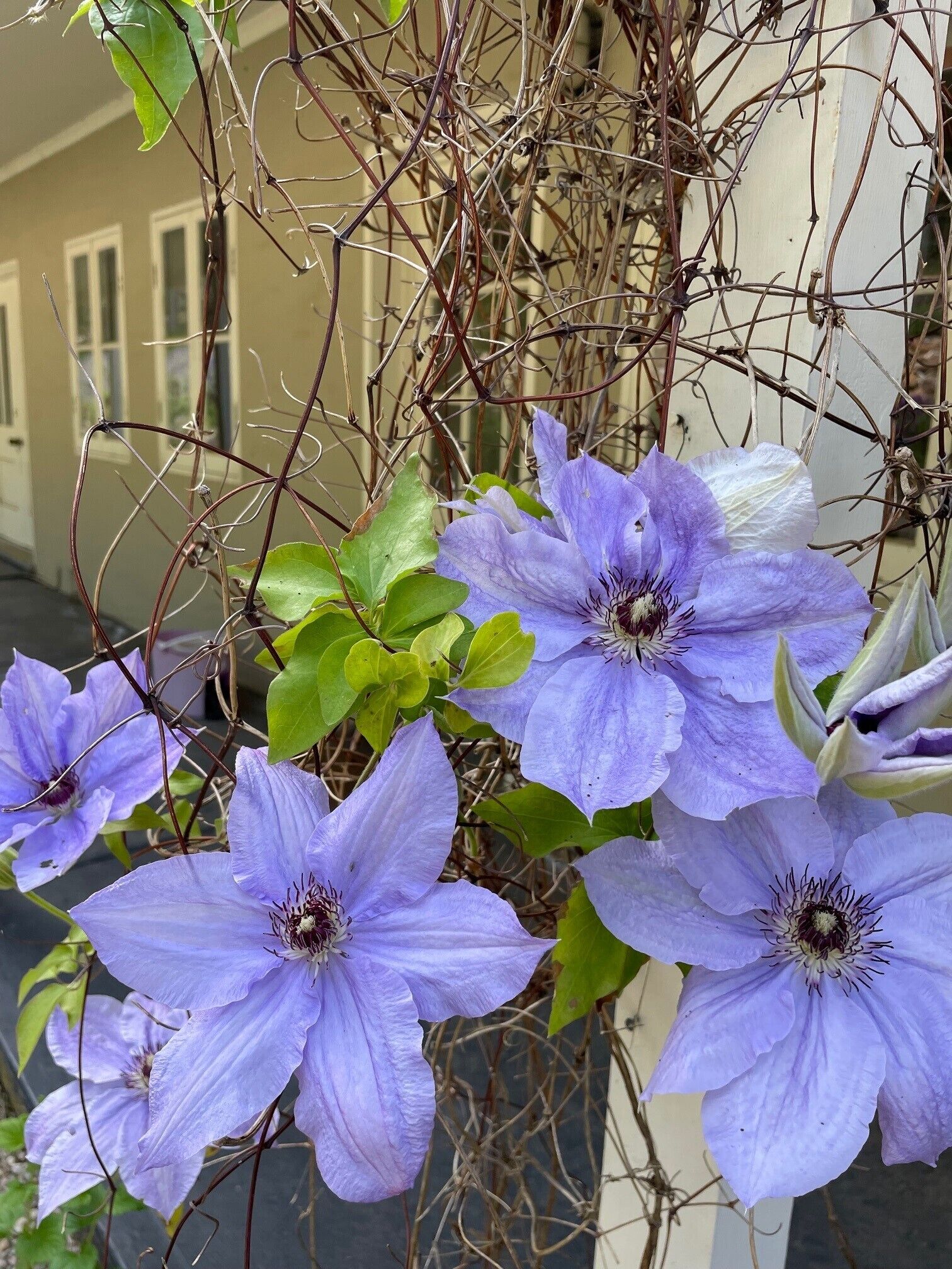 Fleetwood Cottage Suite — image 24