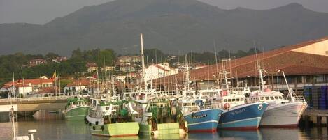 Marina