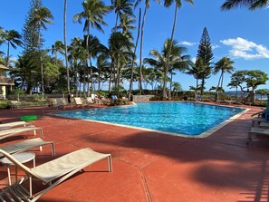 A swimming pool with lounge chairs and palm trees.