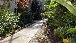 Un camino pavimentado bordeado por exuberante vegetación tropical y un edificio con revestimiento vertical.