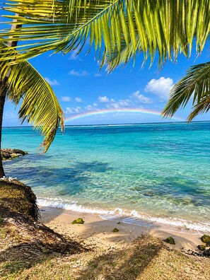 A beach with clear turquoise water, a visible rainbow, and palm trees.