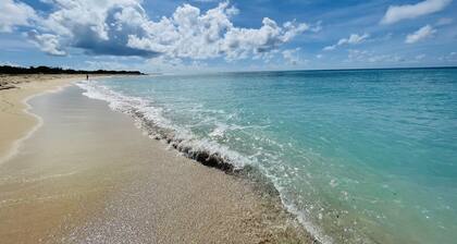 Sunshine Suite, Just Steps to the Pool and Ocean