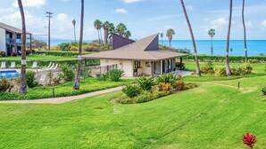 Une maison moderne avec piscine, entourée d’une végétation luxuriante et de palmiers, offrant une vue sur la plage.