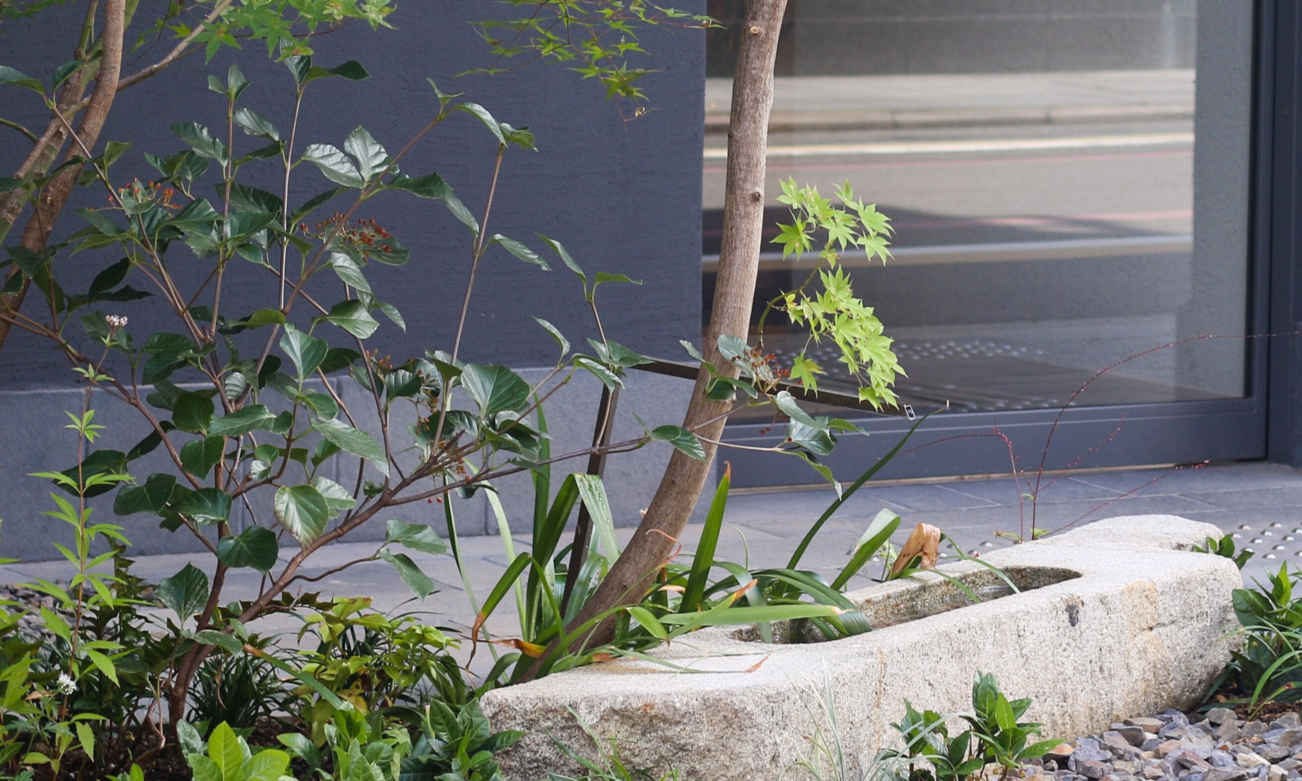 Photo - Hotel Rings Kyoto