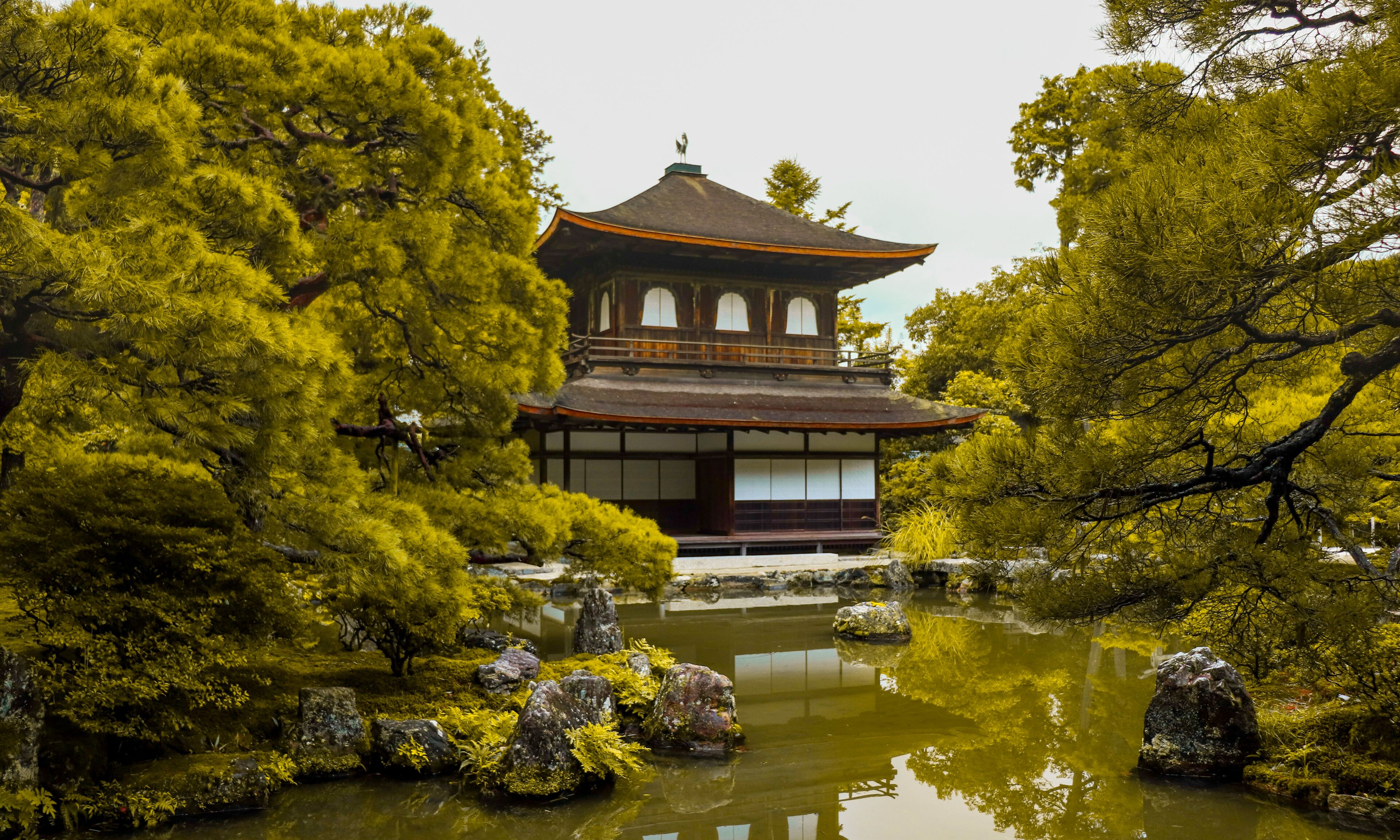 Photo - Hotel Rings Kyoto