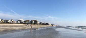 Family and Pet friendly house