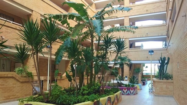 Un atrium à plusieurs niveaux, doté d’un jardin central agrémenté de diverses plantes et bordé d’une mosaïque décorative.