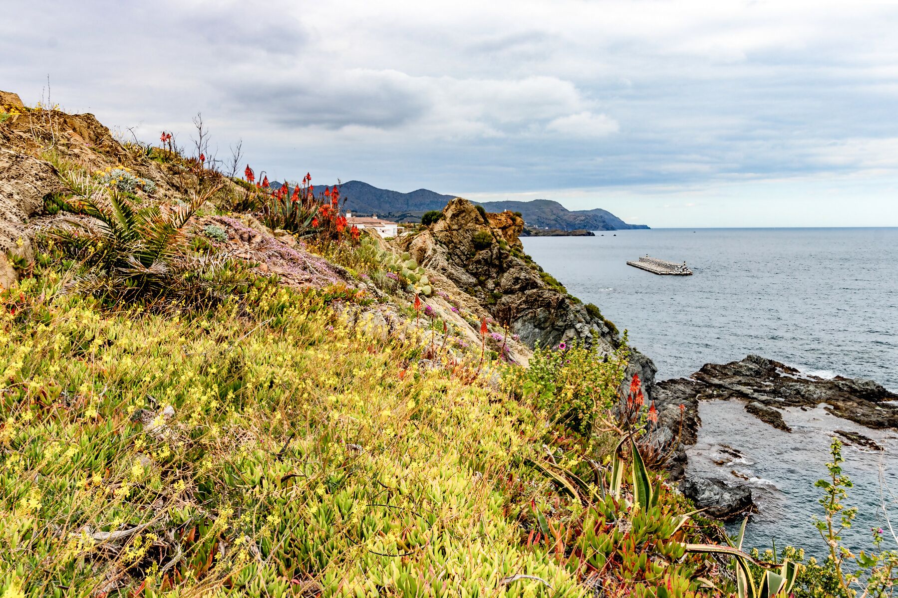 A coastal landscape with rocky terrain and sparse vegetation.