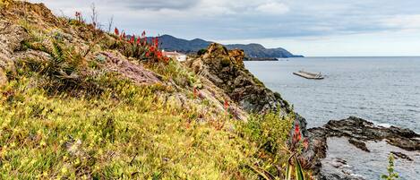 A coastal landscape with rocky terrain and sparse vegetation.
