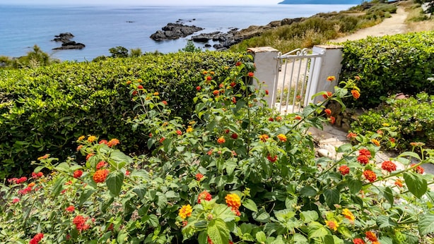 A garden with vibrant flowers and a view of the sea. - Carboneras 48 - Apartment on the seafront (Llança)