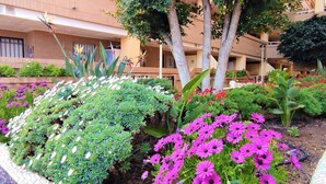 Un jardín ajardinado con diversas plantas y flores, un árbol y un edificio con múltiples balcones al fondo.