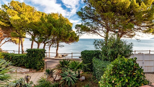 A coastal garden with a variety of trees and shrubs, a paved walkway, and a view of the sea. - Les Tonyines 68 - apartment with views and terrace (Llança)