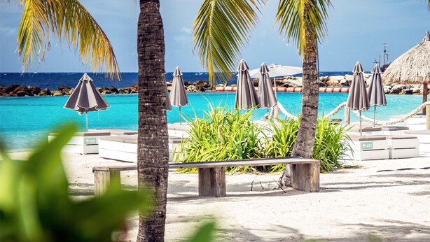 Ein Strandhotel mit Pool, Palmen und Sonnenschirmen.