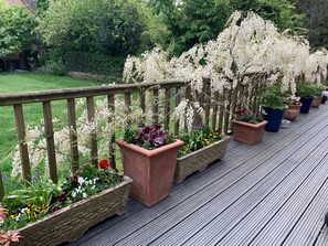 المنطقة المحيطة بالمنشأة