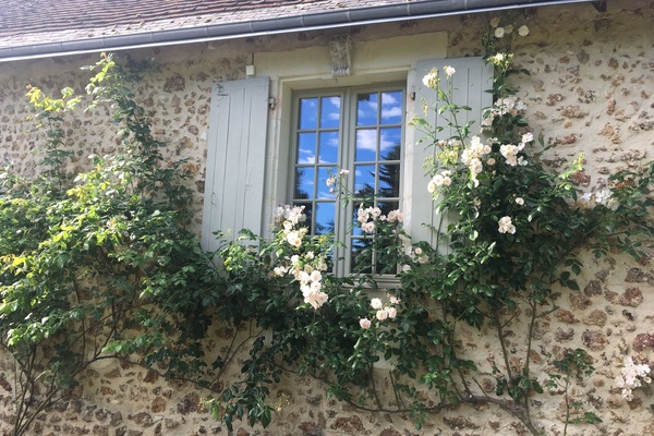 Detall de l'exterior