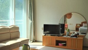 Une pièce comprenant un canapé, un téléviseur posé sur un meuble en bois, un miroir et une fenêtre avec des rideaux.
