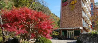 Yangyang Galcheon Family Resort