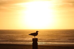 Am Strand