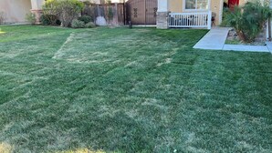A well-maintained lawn in a residential area with a gated entrance and a house with a red door. - Peaceful Home Away! (San Jacinto)