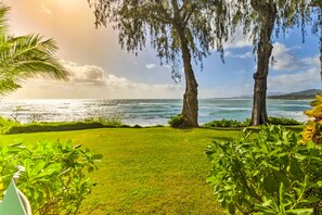 Property grounds - Charming studio with killer ocean views, balcony & outdoor pool (Kapaa)