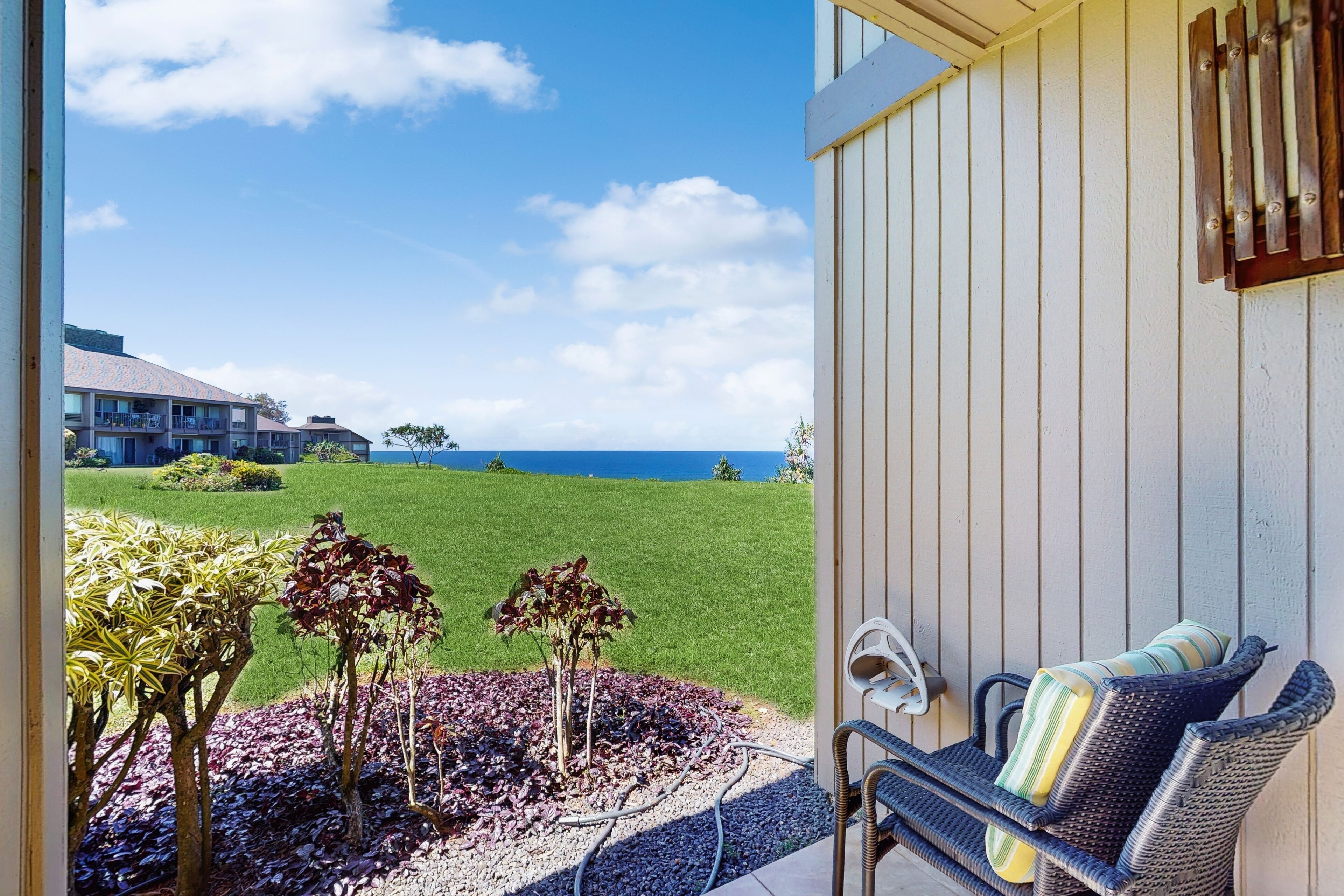 テラス / パティオ