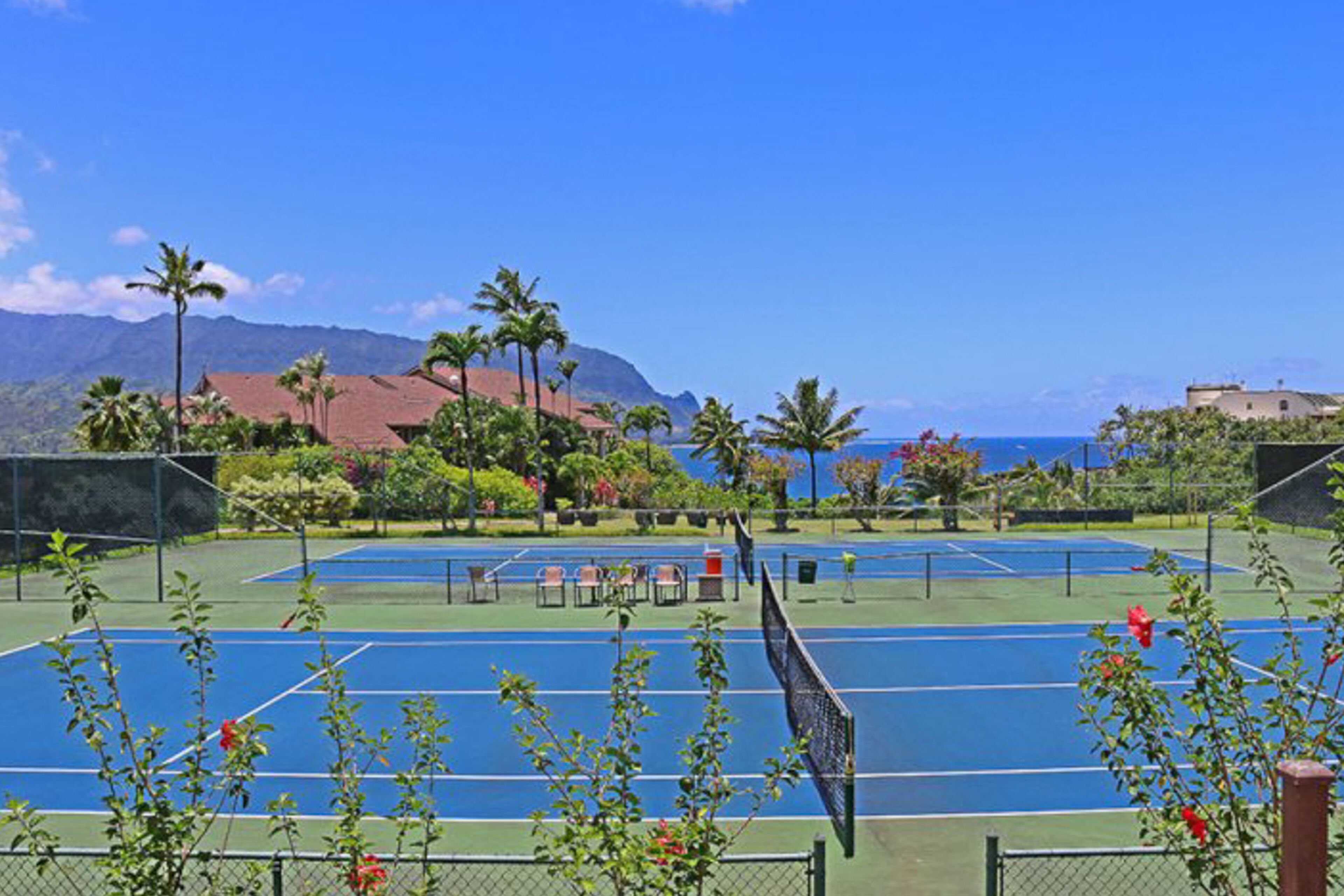 Terrain de sport