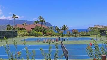 Terrain de sport