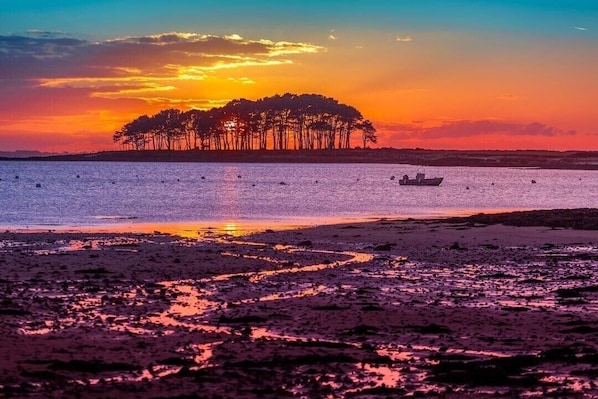 A beach with a boat and a forested island in the background.