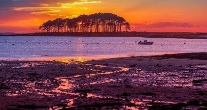 Sweet awakening - facing the beach
