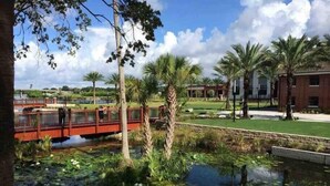 A bridge over a pond with lily pads, surrounded by palm trees and a building with a brick facade. - Cozy Studio Bungalow Walk to Armature and Downtown (Tampa)