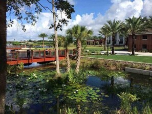 Property grounds - Cozy Studio Bungalow Walk to Armature and Downtown (Tampa)