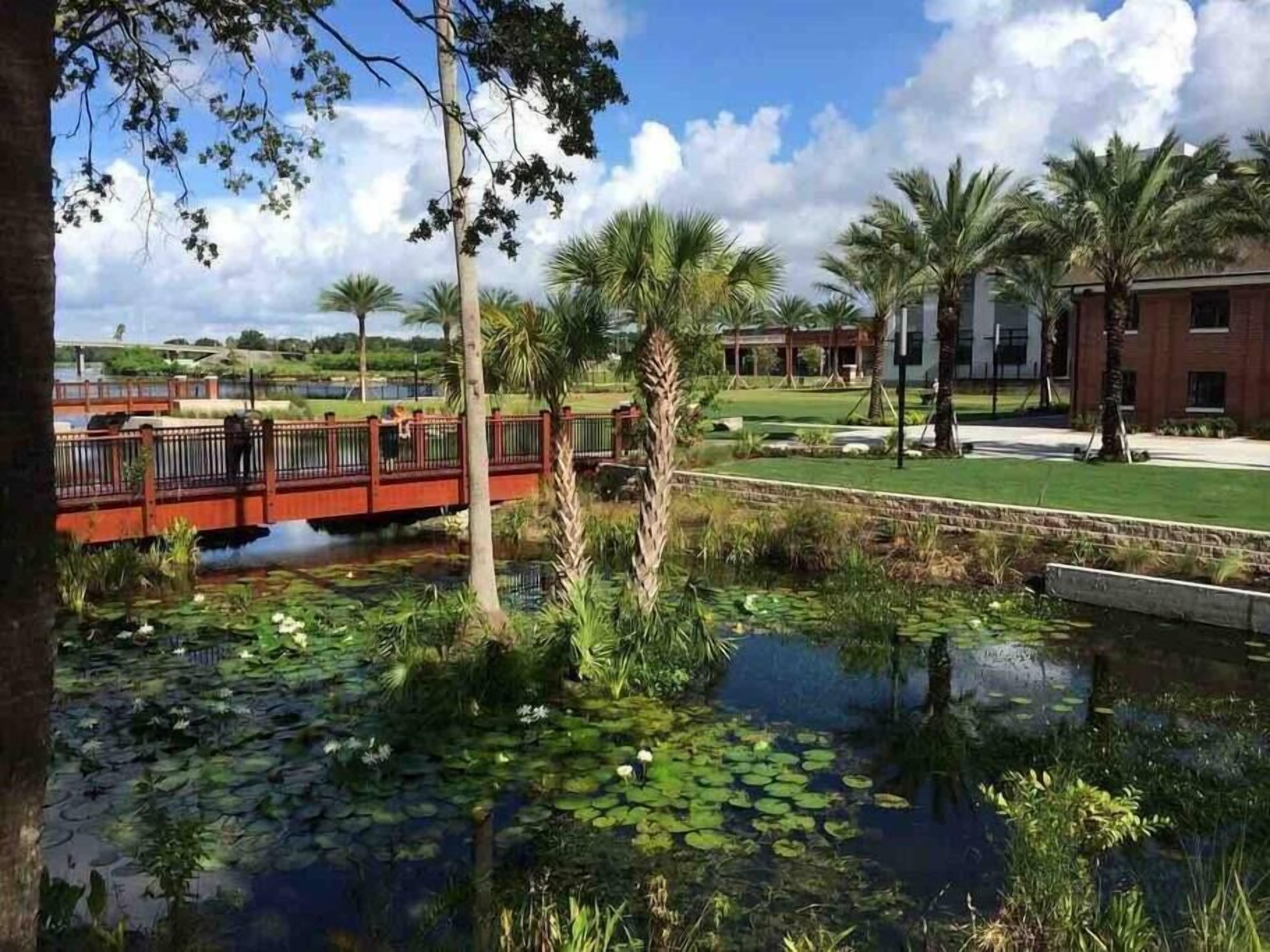 A serene outdoor area with a bridge, water lilies, and palm trees.