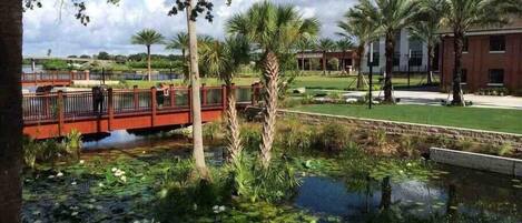 A serene outdoor area with a bridge, water lilies, and palm trees.