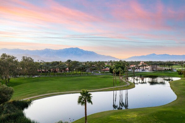 Unclassified image, 1 of 50, button