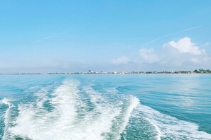 Luokittelematon kuva, 3 kautta 42, painike