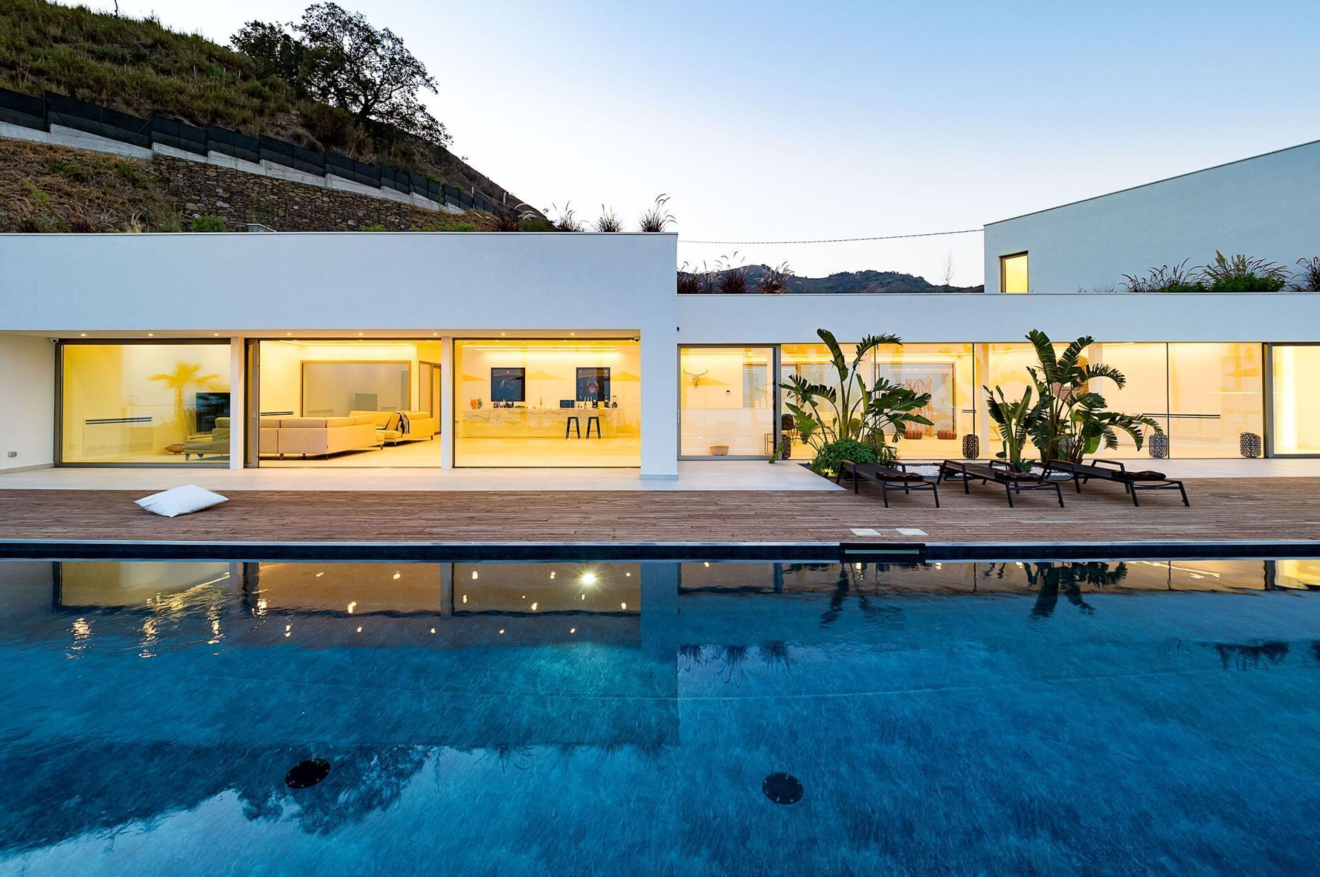 A modern house with a swimming pool, large windows, and a well-maintained garden.