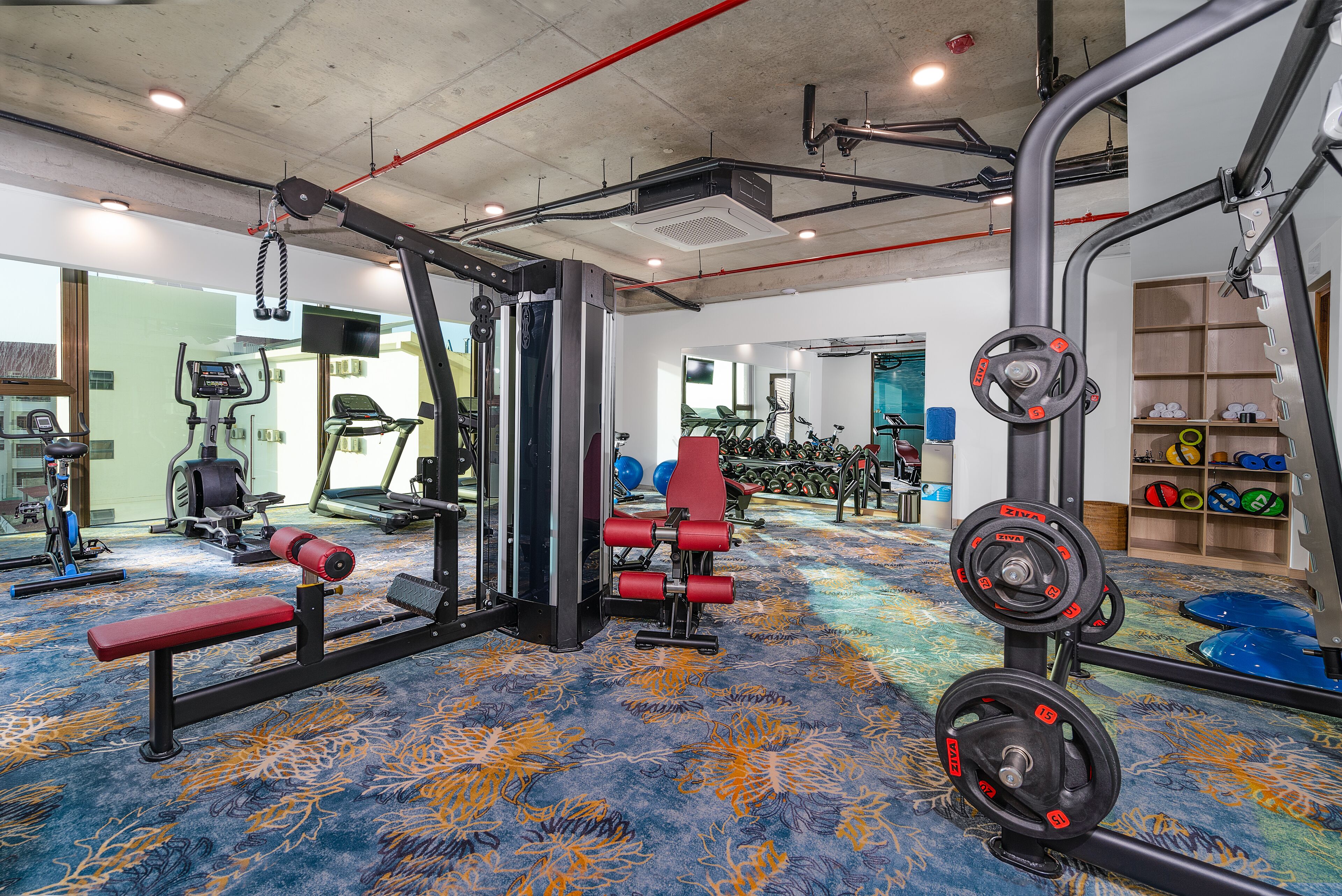A gym with exercise equipment, a bench, and a carpeted floor.