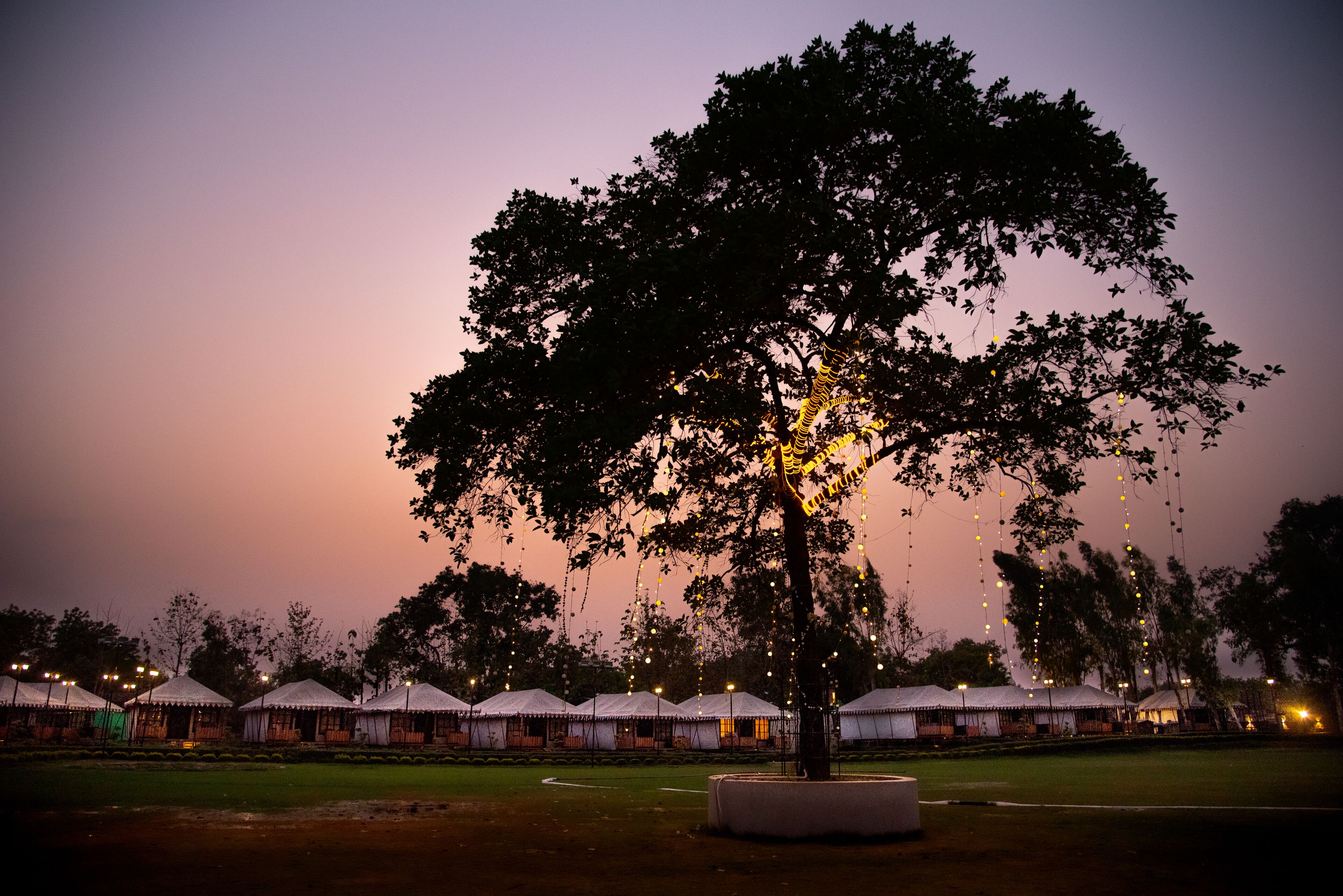 Taman