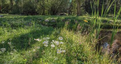 Tent & RV Camping Sites on Pecos River.. NOT A CABIN