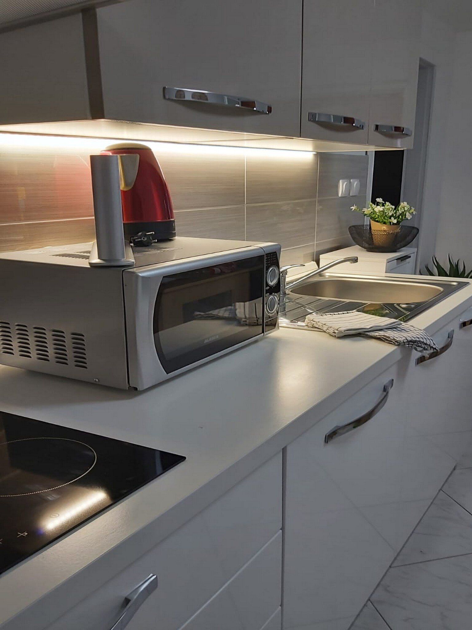 Apartment (One bedroom apartment) | Private kitchen | Fridge